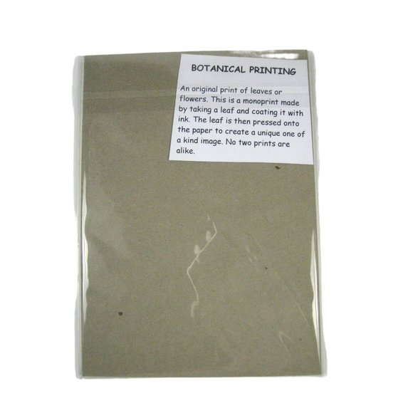 Print Leaf Color Decor Monoprint Botanical 5 x 7 In Green Leaves Mat Matted Oak - Picture 4 of 4